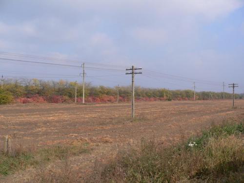 20051023 003 (2)